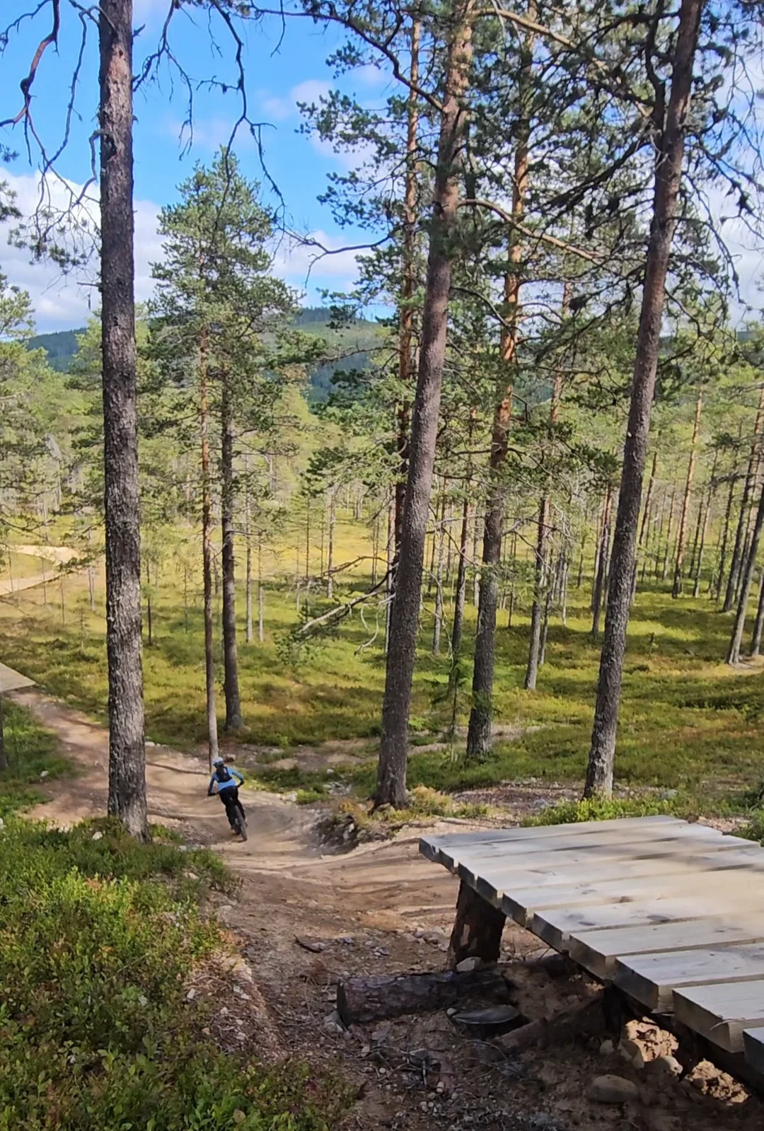 20260819_133144.webp