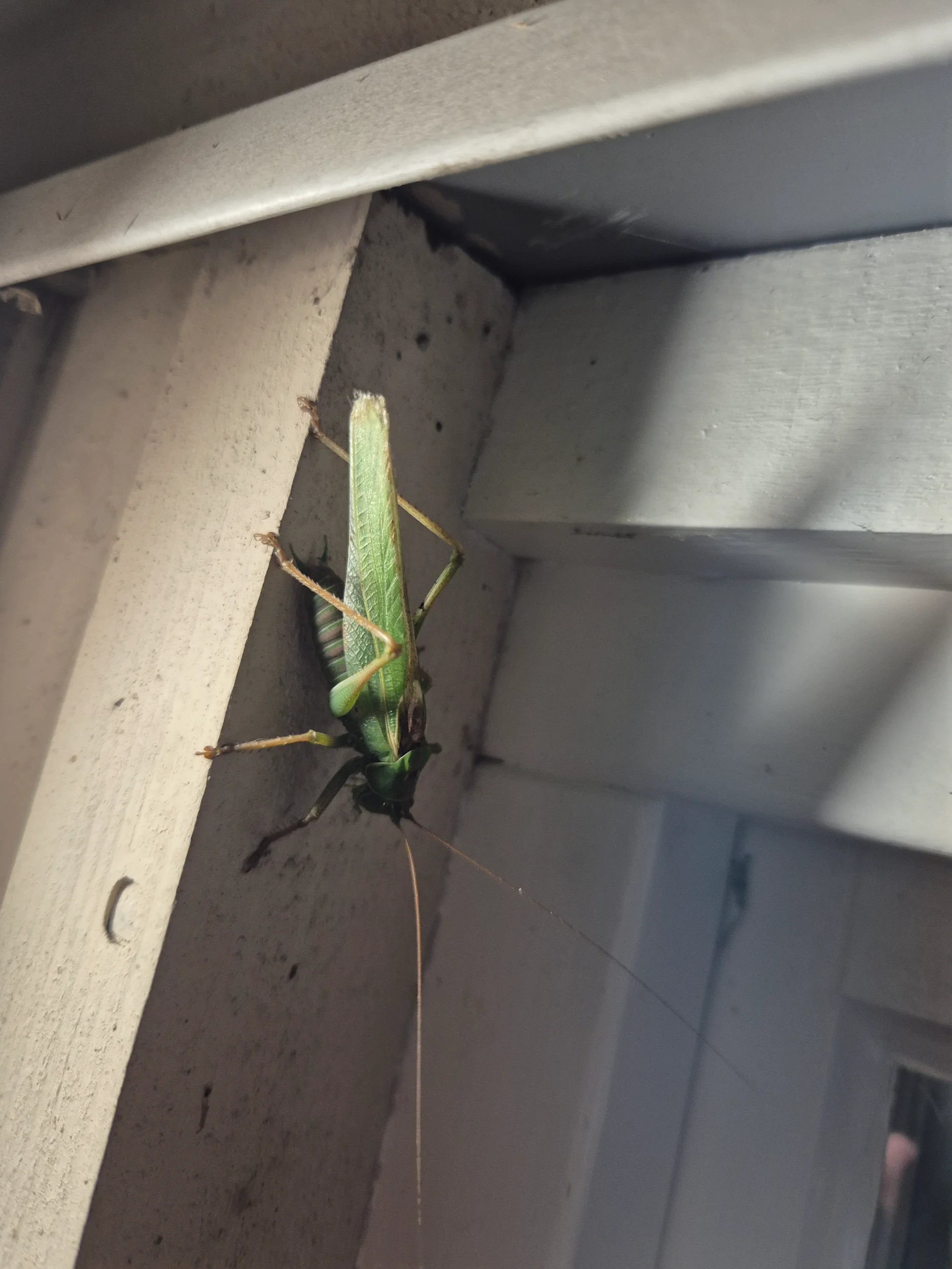 20260902_211329.webp