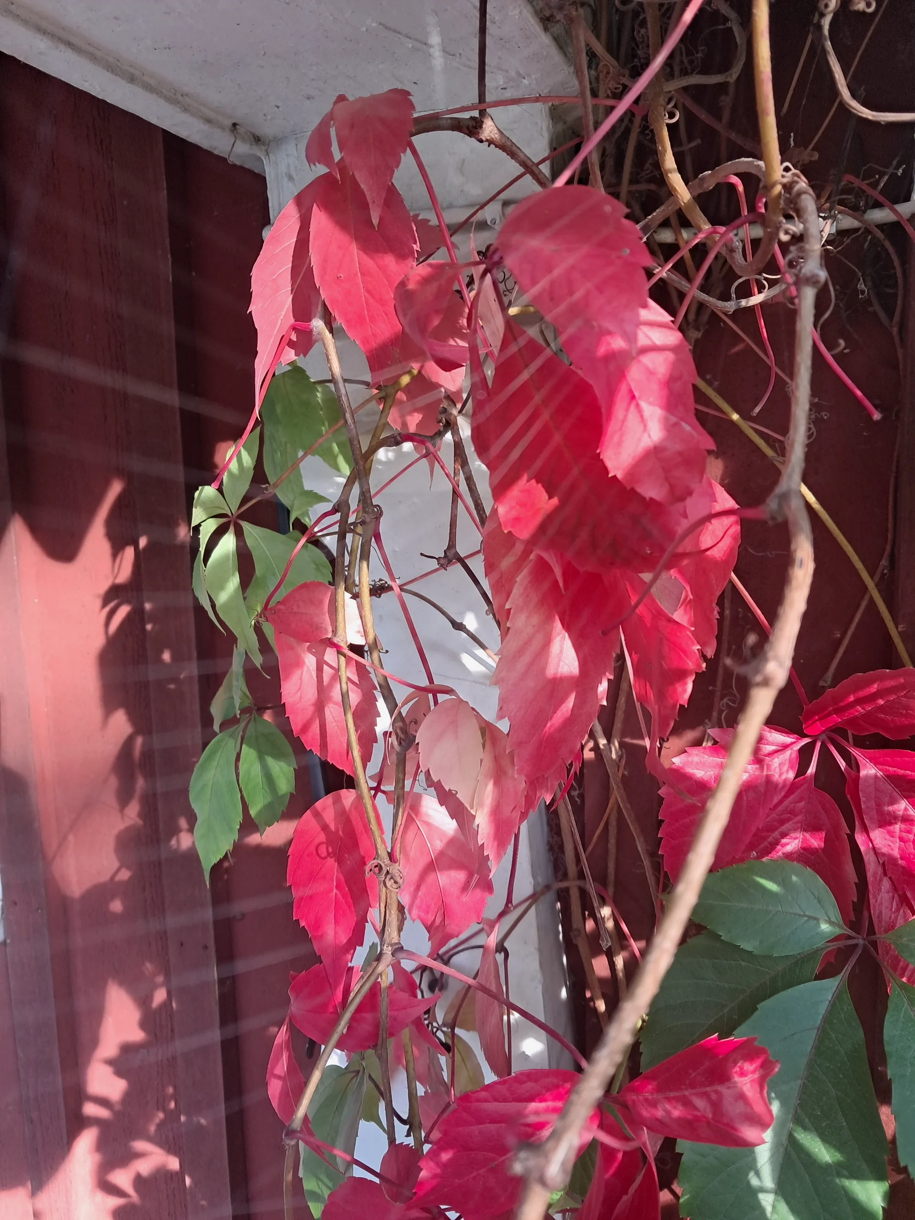 20260929_084403.webp