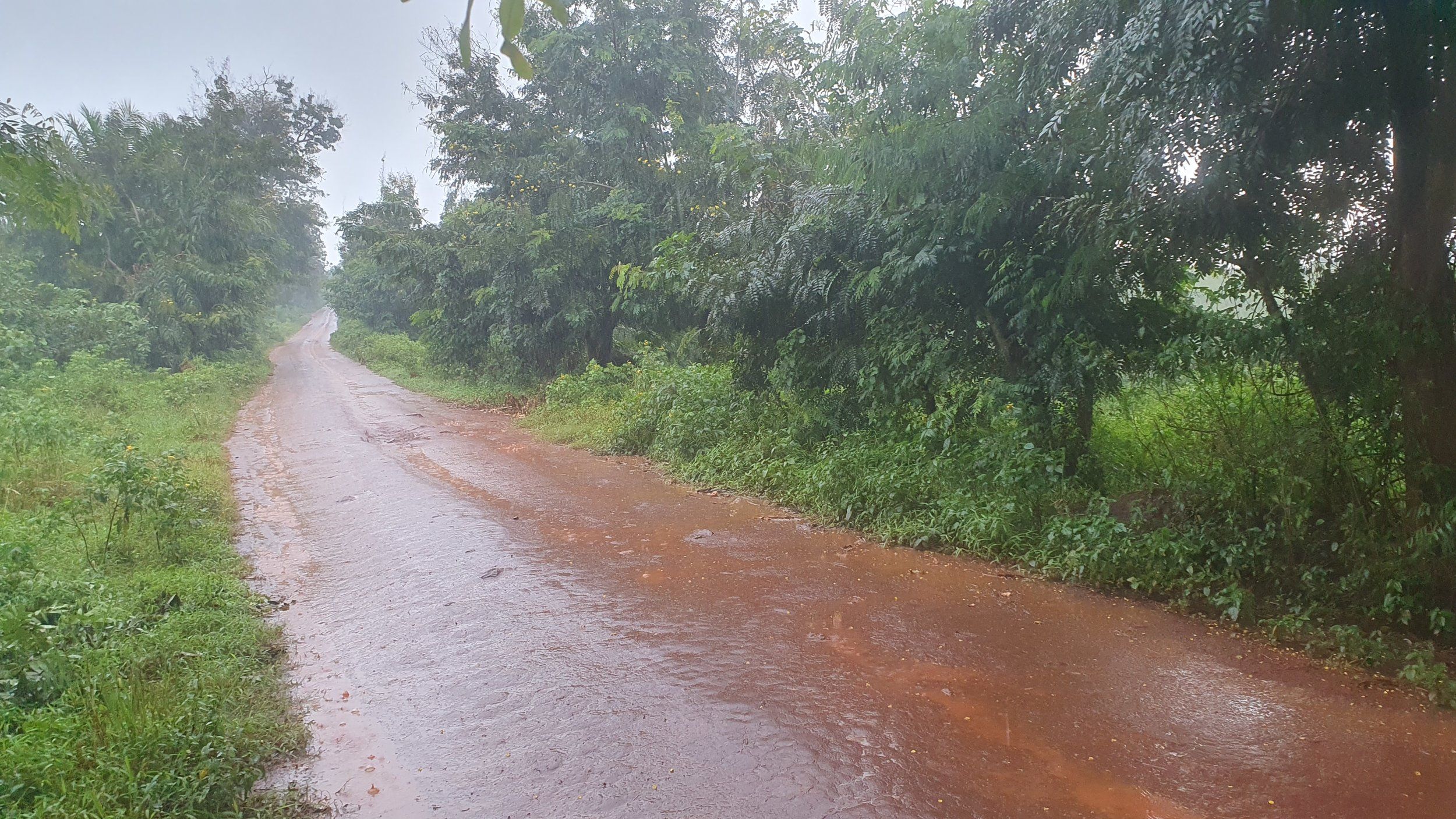 20_regn.jpg