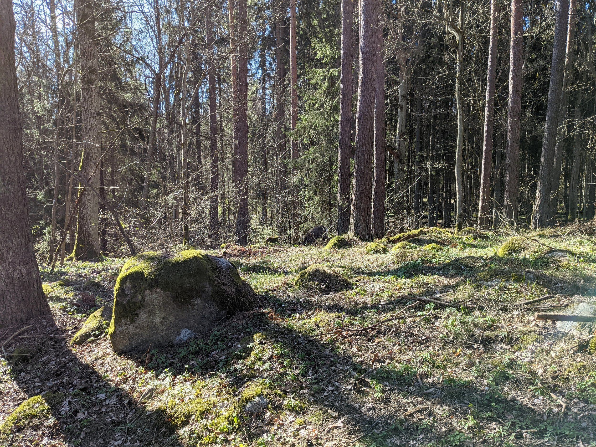 229.jpg