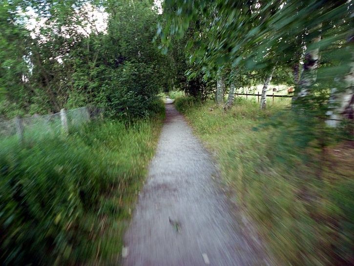 23-rinkebyfltet.JPG