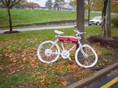 23455845.95vtr250bikewreck.jpg ht=300