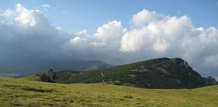 23A11800x395.jpg