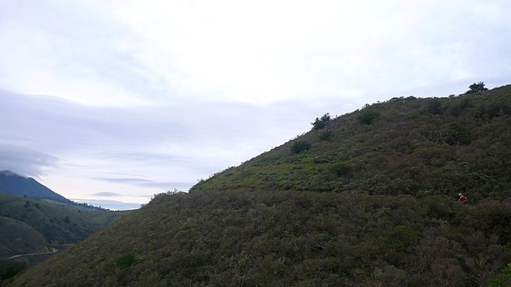 24.jpg ht=408
