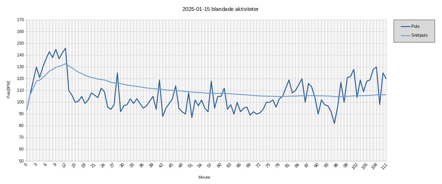 250115 blandade aktiviteter.jpg