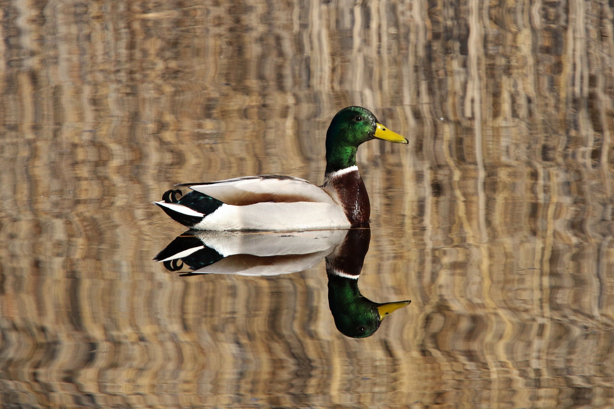 256.JPG