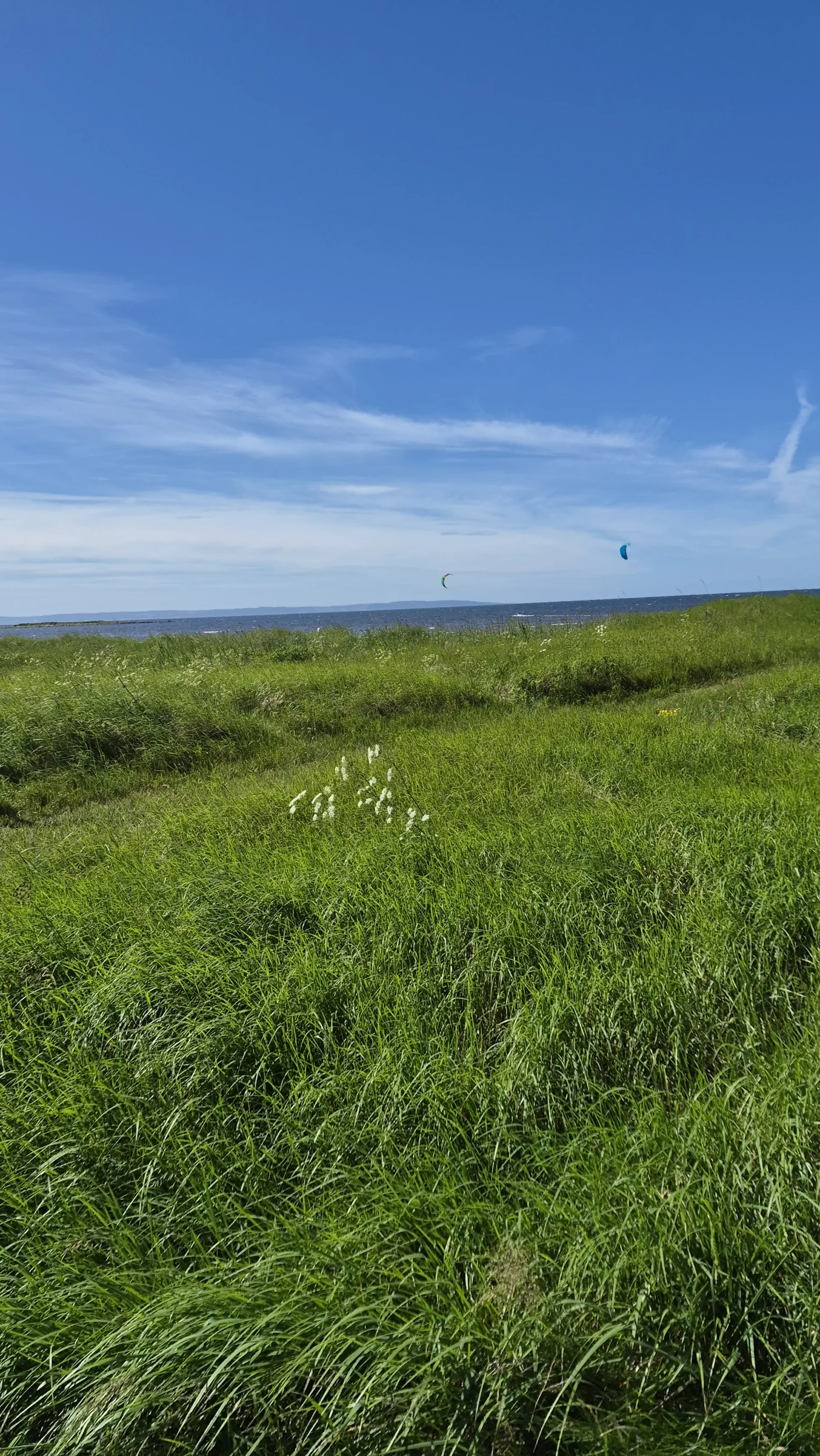 25986.webp