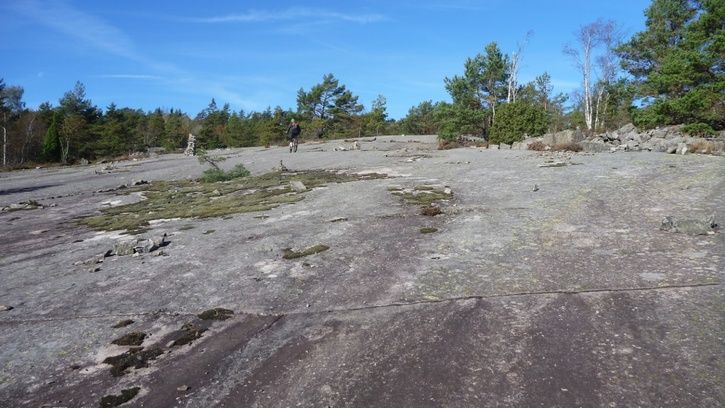 281024x576.jpg