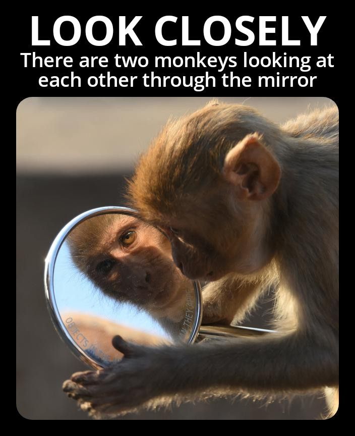 280E2F50-1876-4018-B0D1-50A2BFC1E03F.jpeg