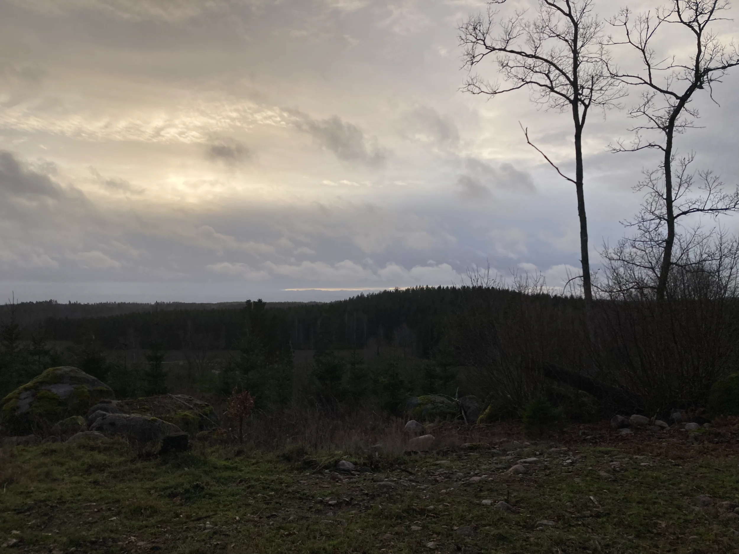 2848F9C6-B3BC-45AB-9C71-7379192BE330.webp