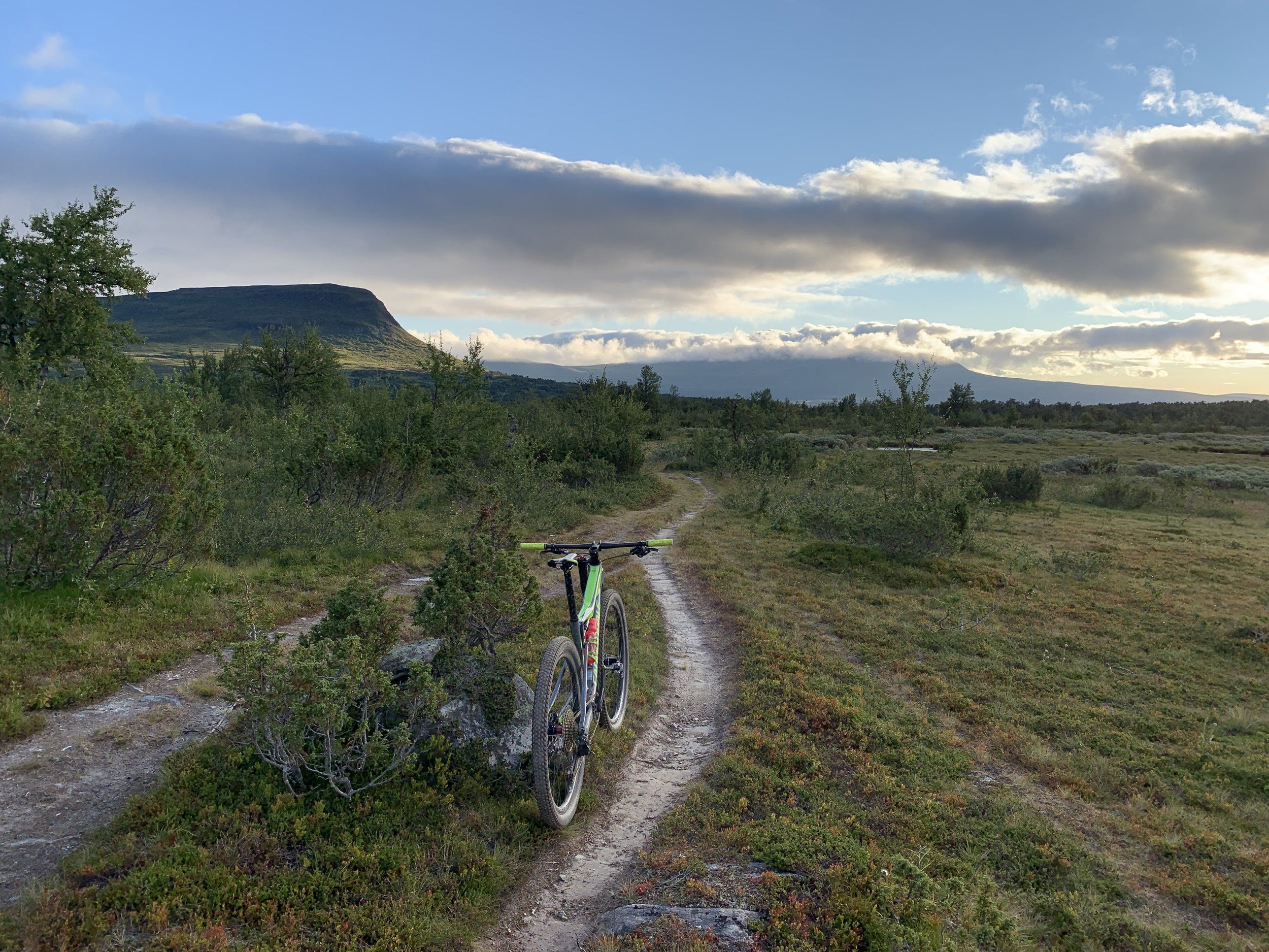 292B6B91-8306-4C5C-826F-B680C0ACD9DB.jpeg