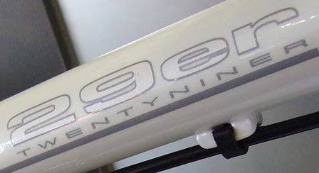 29er448.jpg ht=244