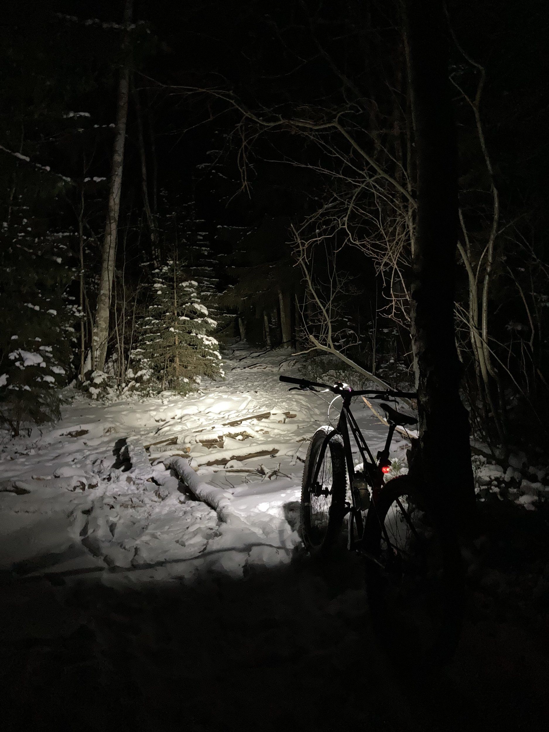 2ADAA678-203A-4355-97BA-E478F5234440.jpeg