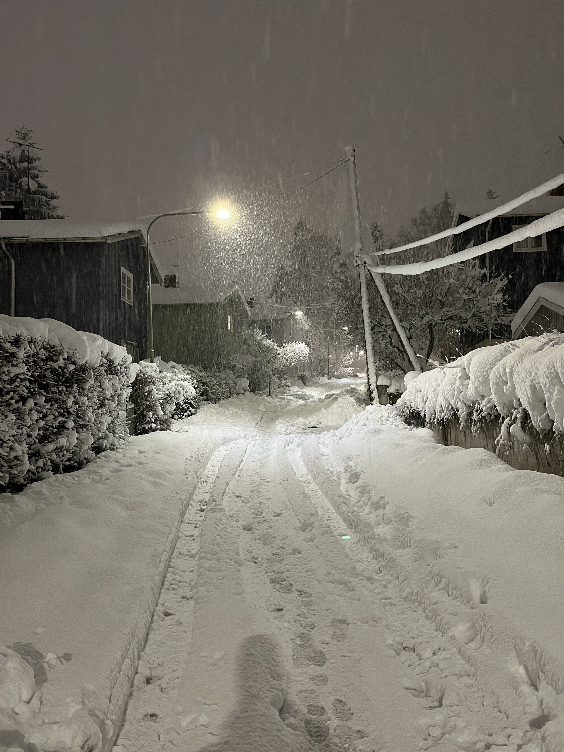 2B9BC302-5CF8-4368-A008-4AC4394D0982.jpeg