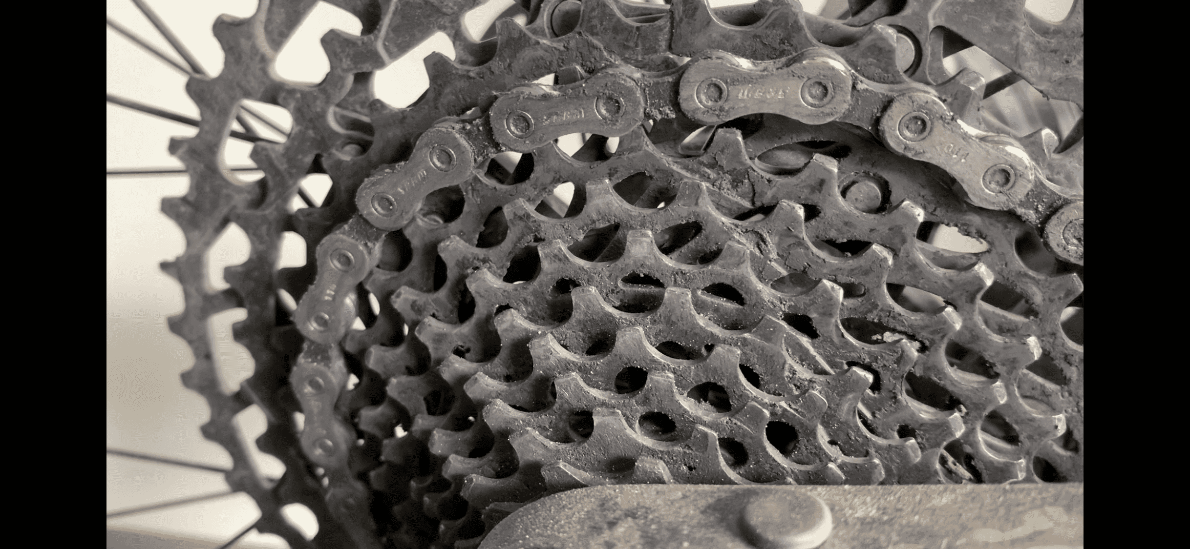 2BF5EDBB-1147-4B43-9E48-678E37C538E4.png