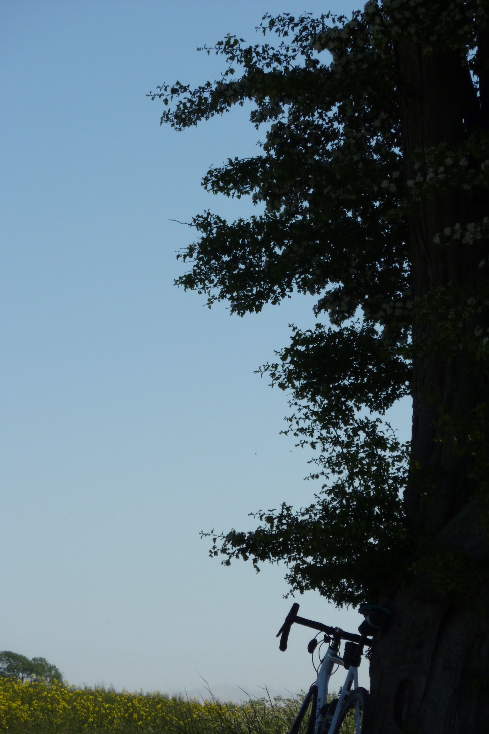 2CD02AAB-9EEC-4E74-B9FA-FE40C495E02F.jpeg