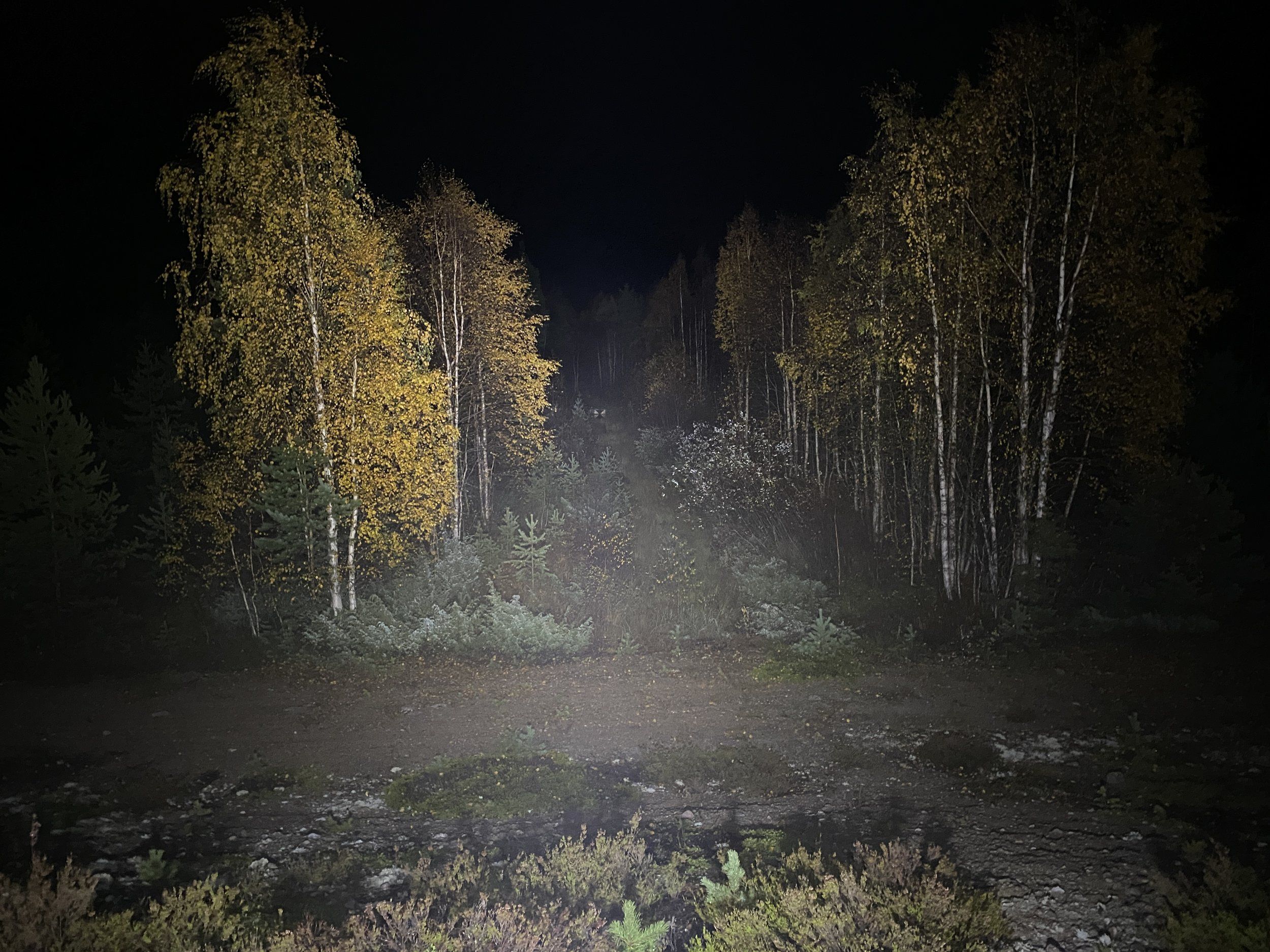 2CF7AEC3-3C7B-4C35-AD78-F86CA65125E1.jpeg