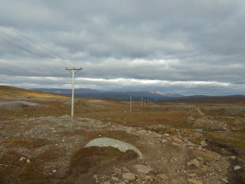 2P1000449800x600.jpg