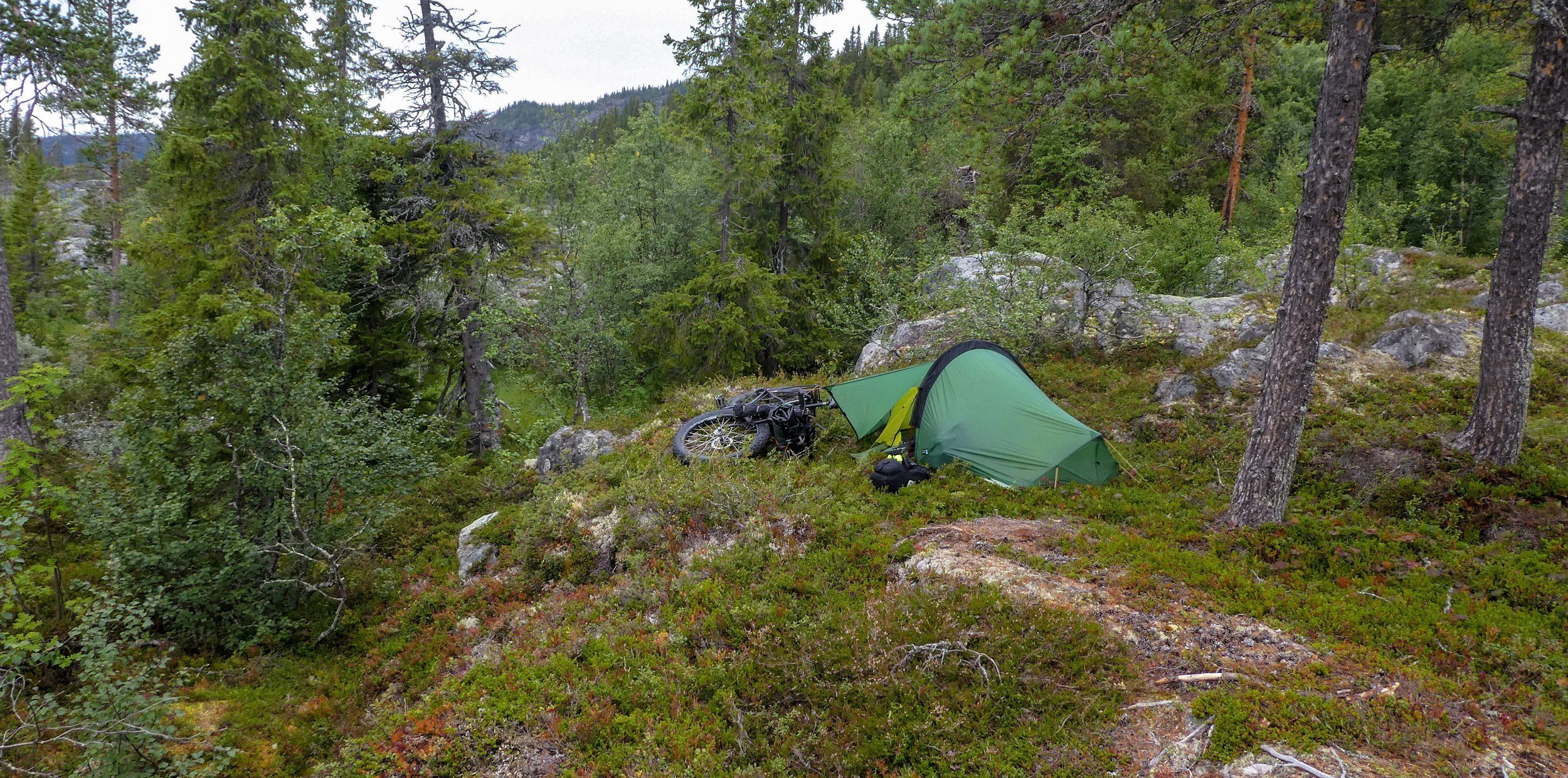 2P1092130.jpg