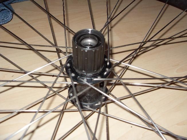 3.JPG ht=490