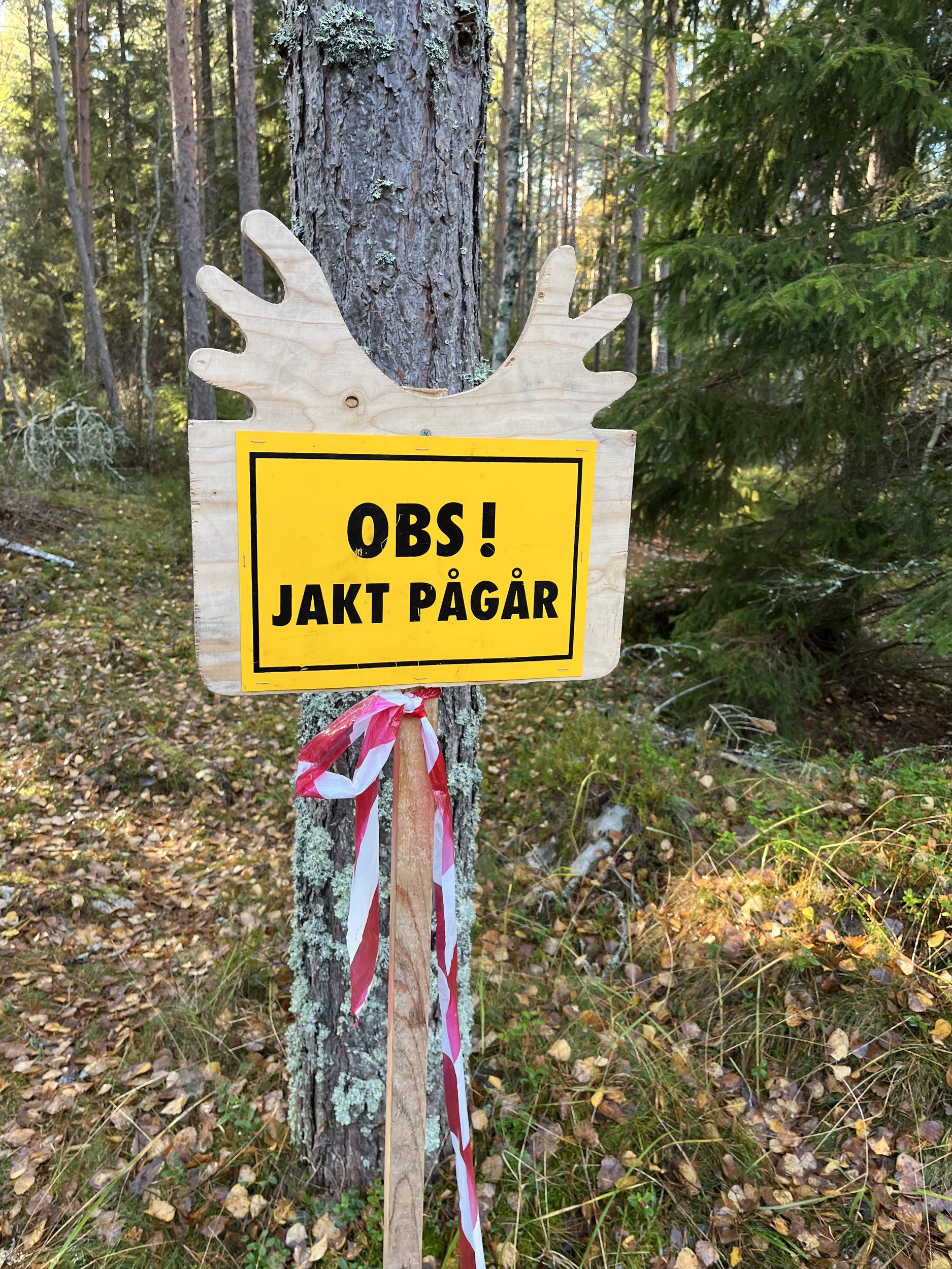 30043660-21AB-4688-945D-36F1EA34284E.jpeg