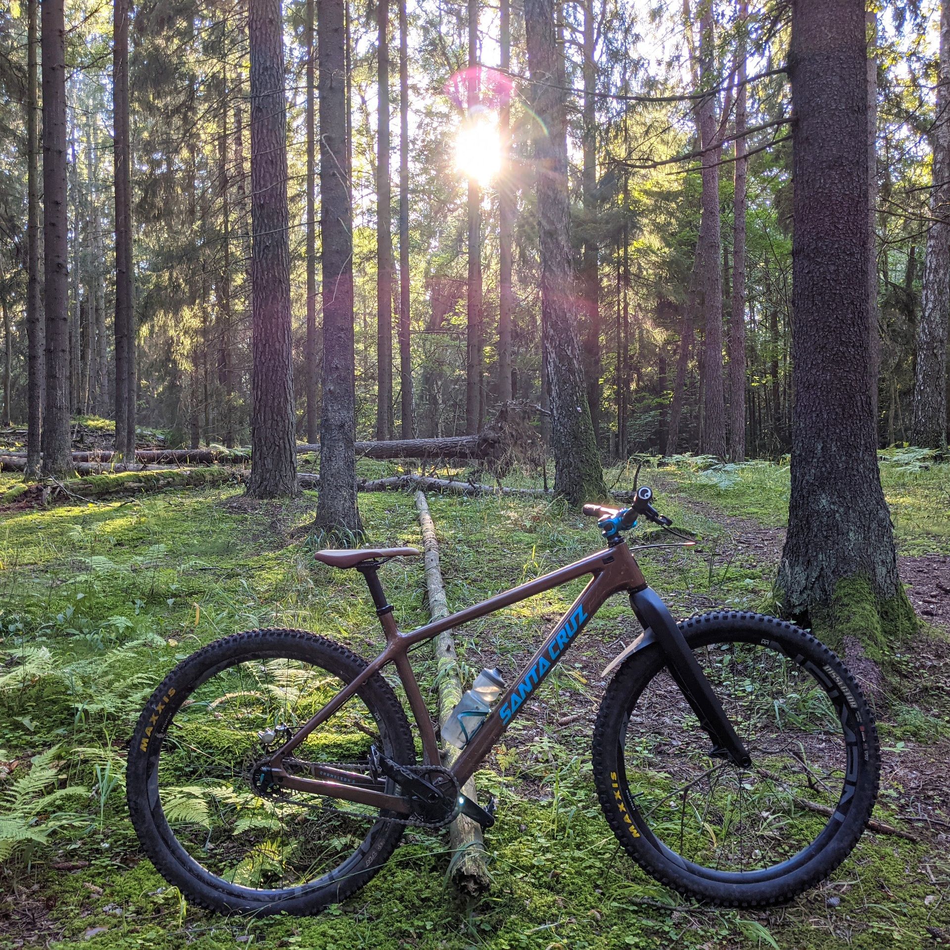 316.jpg