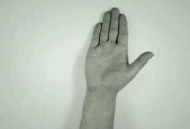 31c86564a2128716ee29989f29e01114.gif ht=260