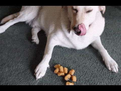 325697963.gif