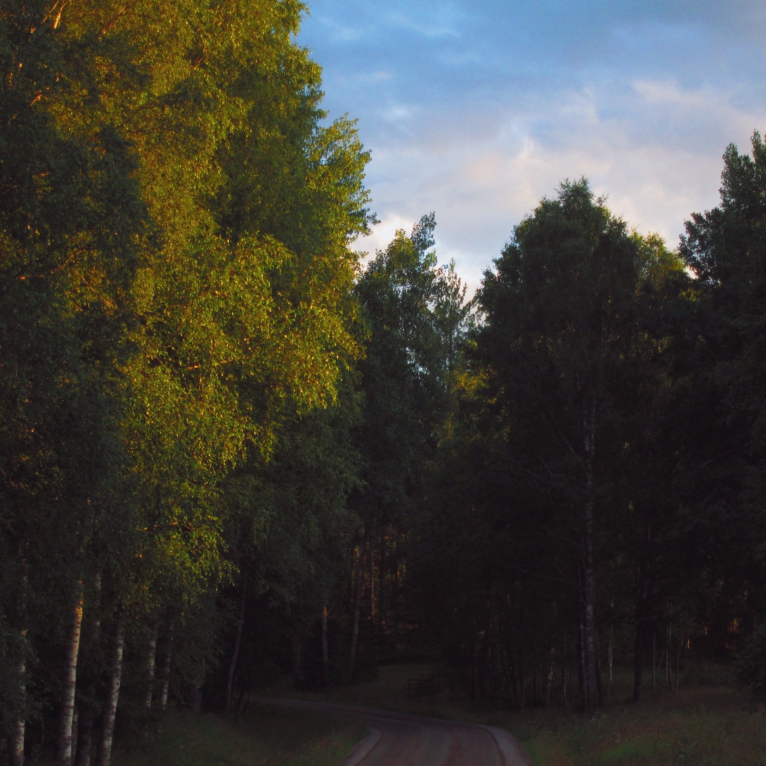 34F9CBC2-C53B-4E2A-8E27-95F2861D9927.jpeg