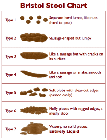 350px-Bristol_Stool_Chart.png ht=456