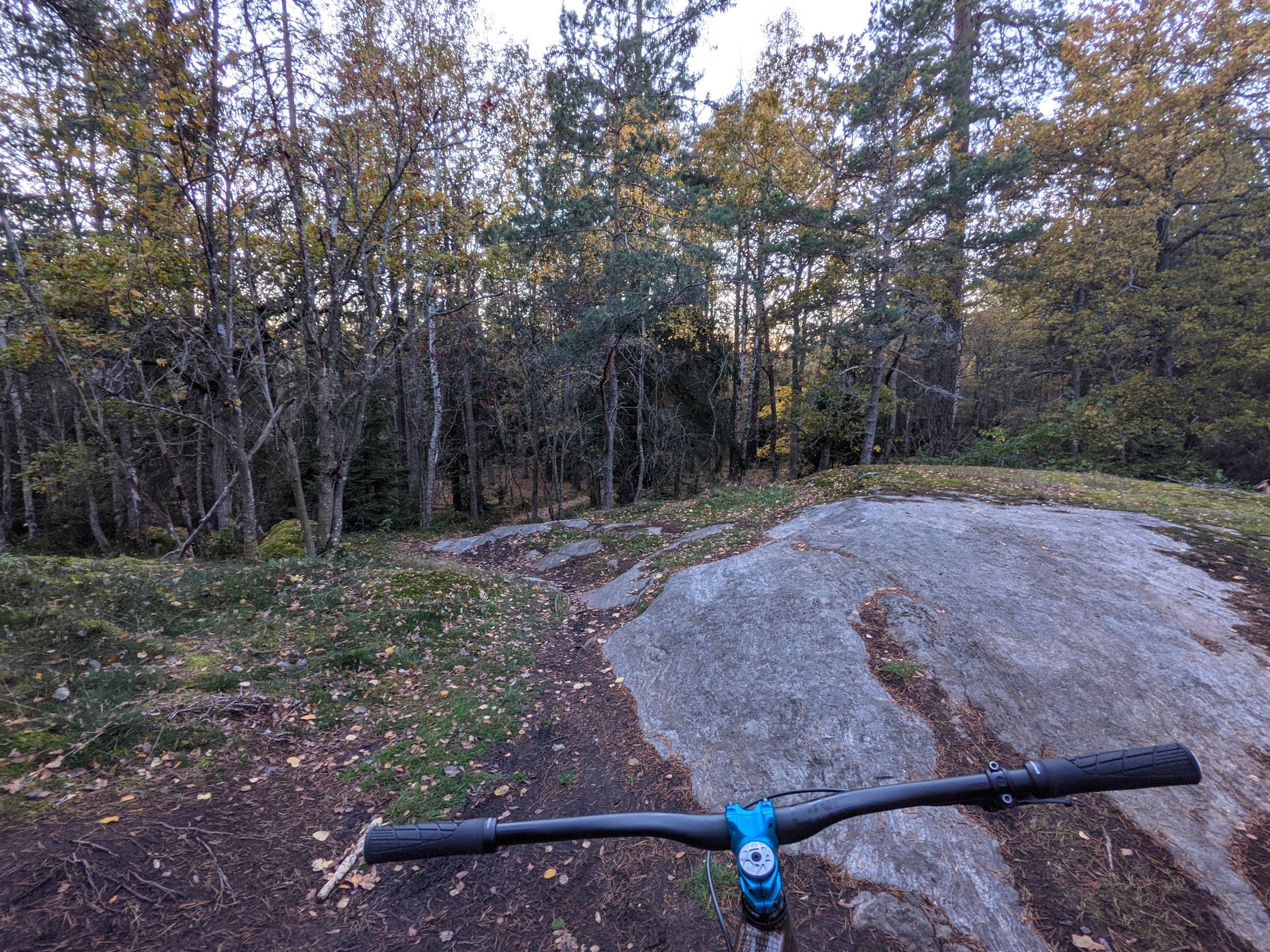 355.jpg