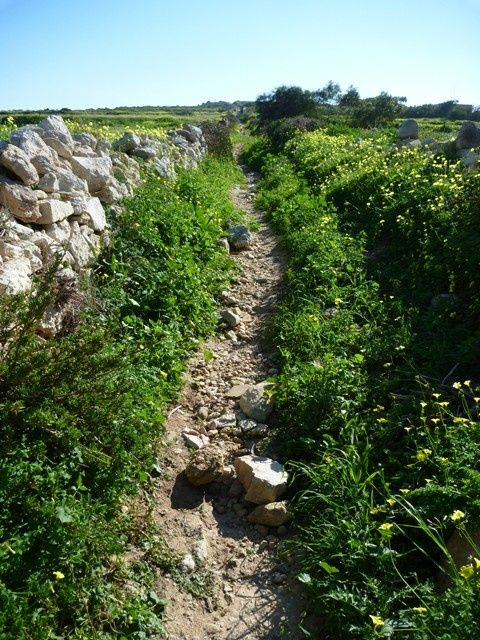35stthomassingletrack.jpg ht=640