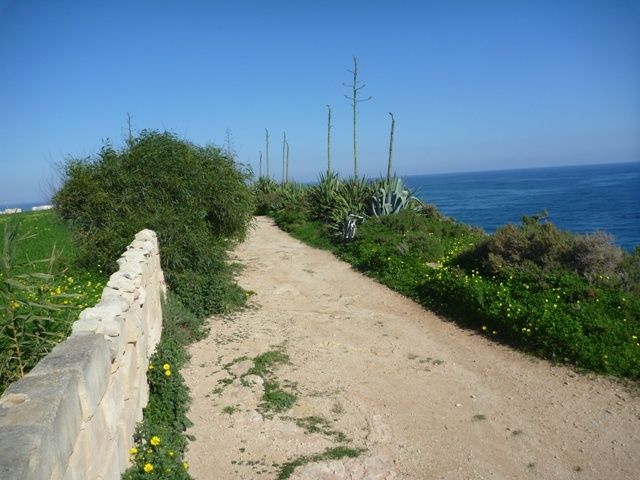 36stthomasvag.jpg ht=480