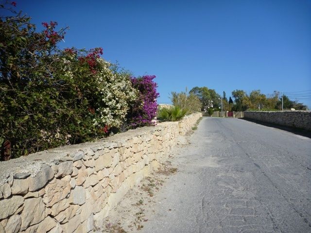 37marsaxlokkvag.jpg ht=480