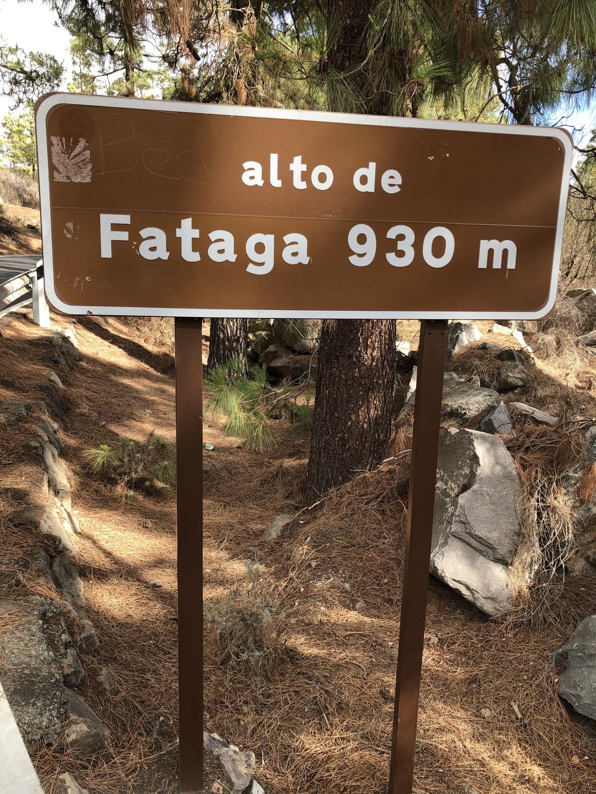 3F06DF13-8D5A-4ADB-82E6-37682F0D8A56.jpeg
