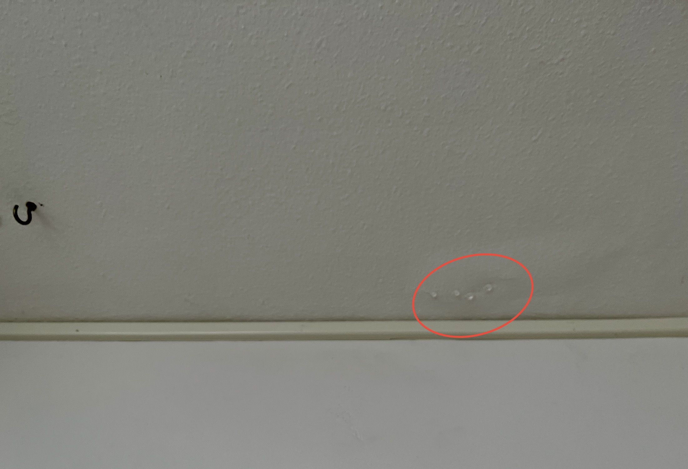 3F5E4750-1977-4F96-AA7E-C71AB55CC82E.jpeg