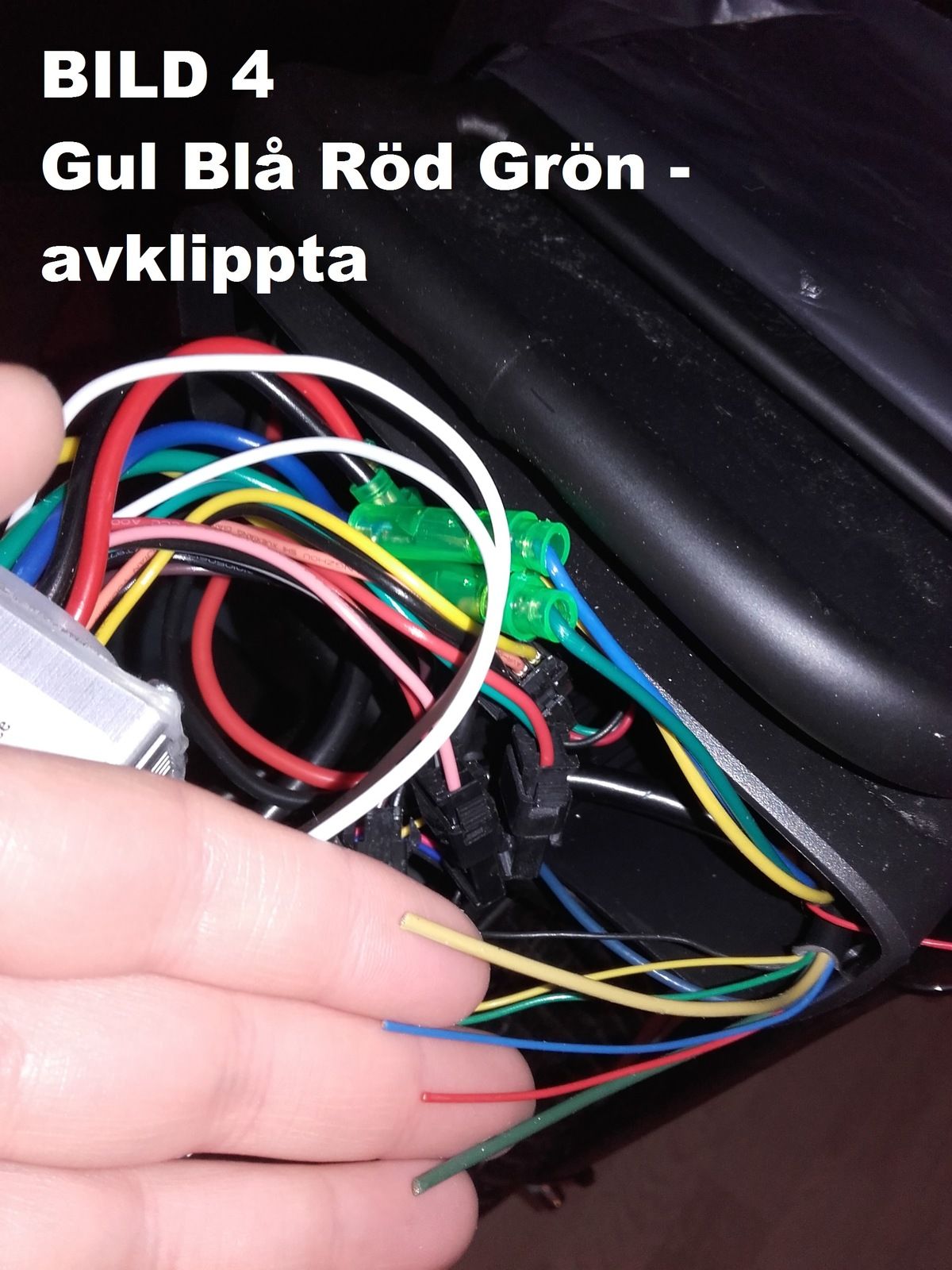 4.AVKLIPPTA-GulBlRdGrn.jpg