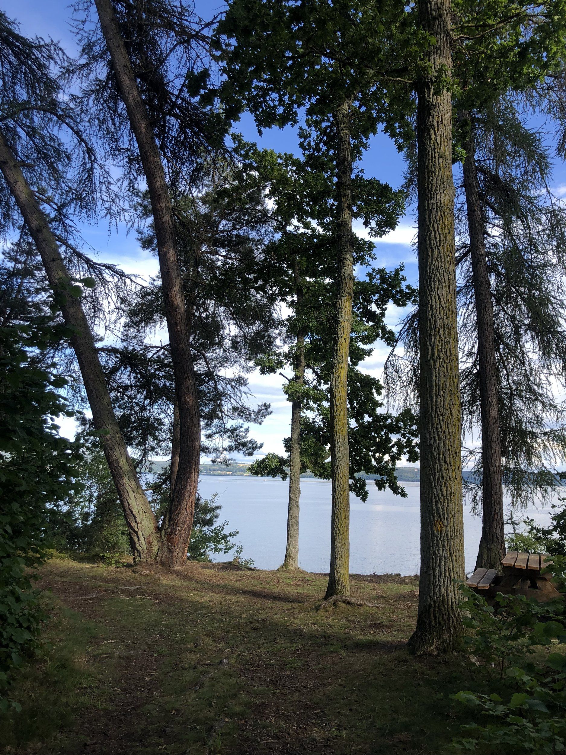 41E49EAC-E2FE-4278-826A-833111B772F8.jpeg