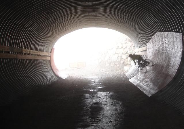 46Micketunnel.JPG ht=446