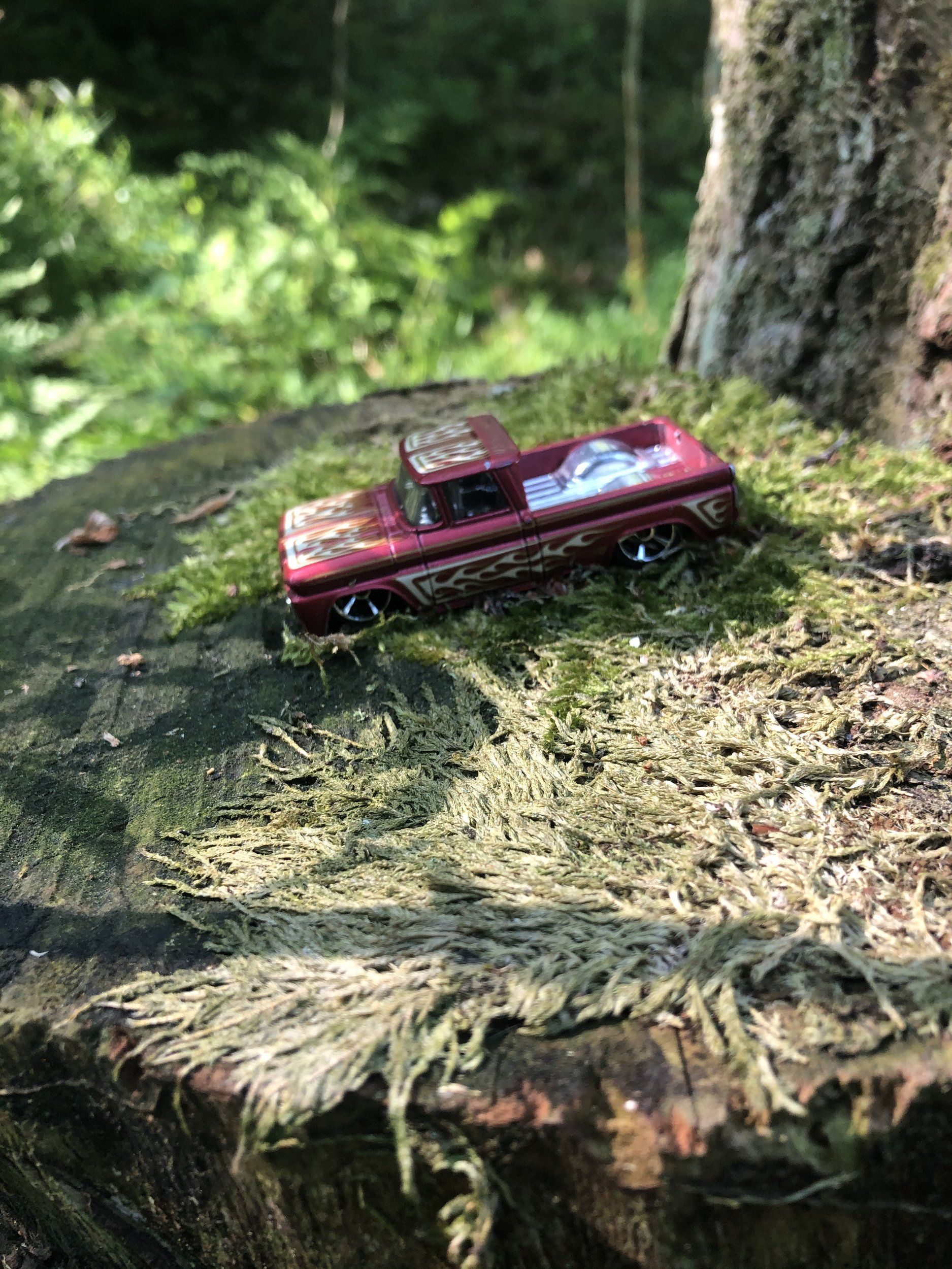 468703D6-5AD6-403A-B3AC-F4FF6C3167E0.jpeg