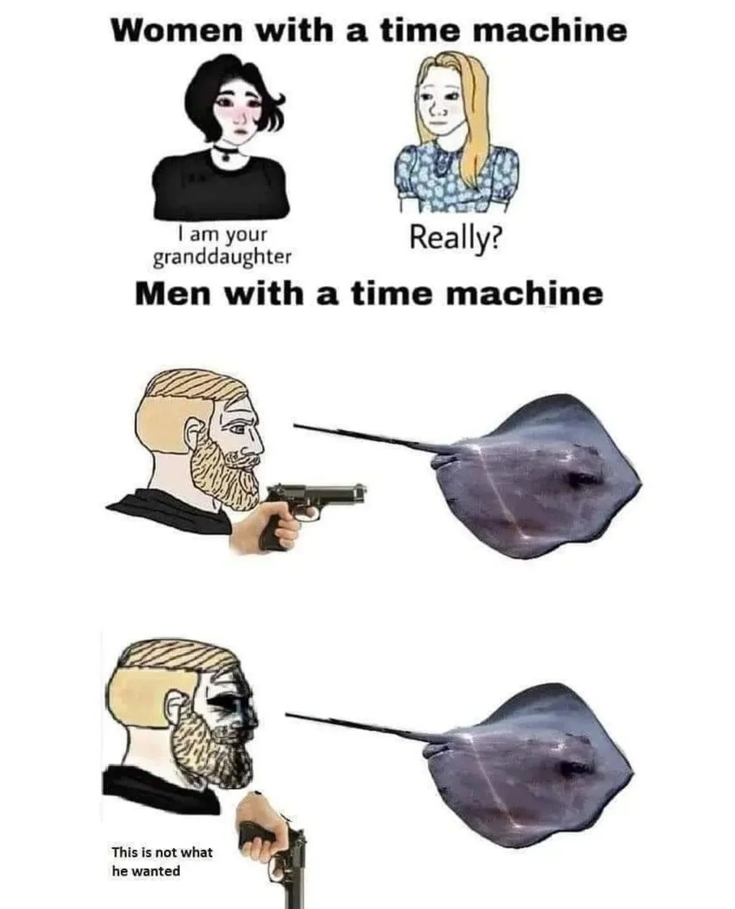 484113324_1205206284307082_117858826718974794_n.webp