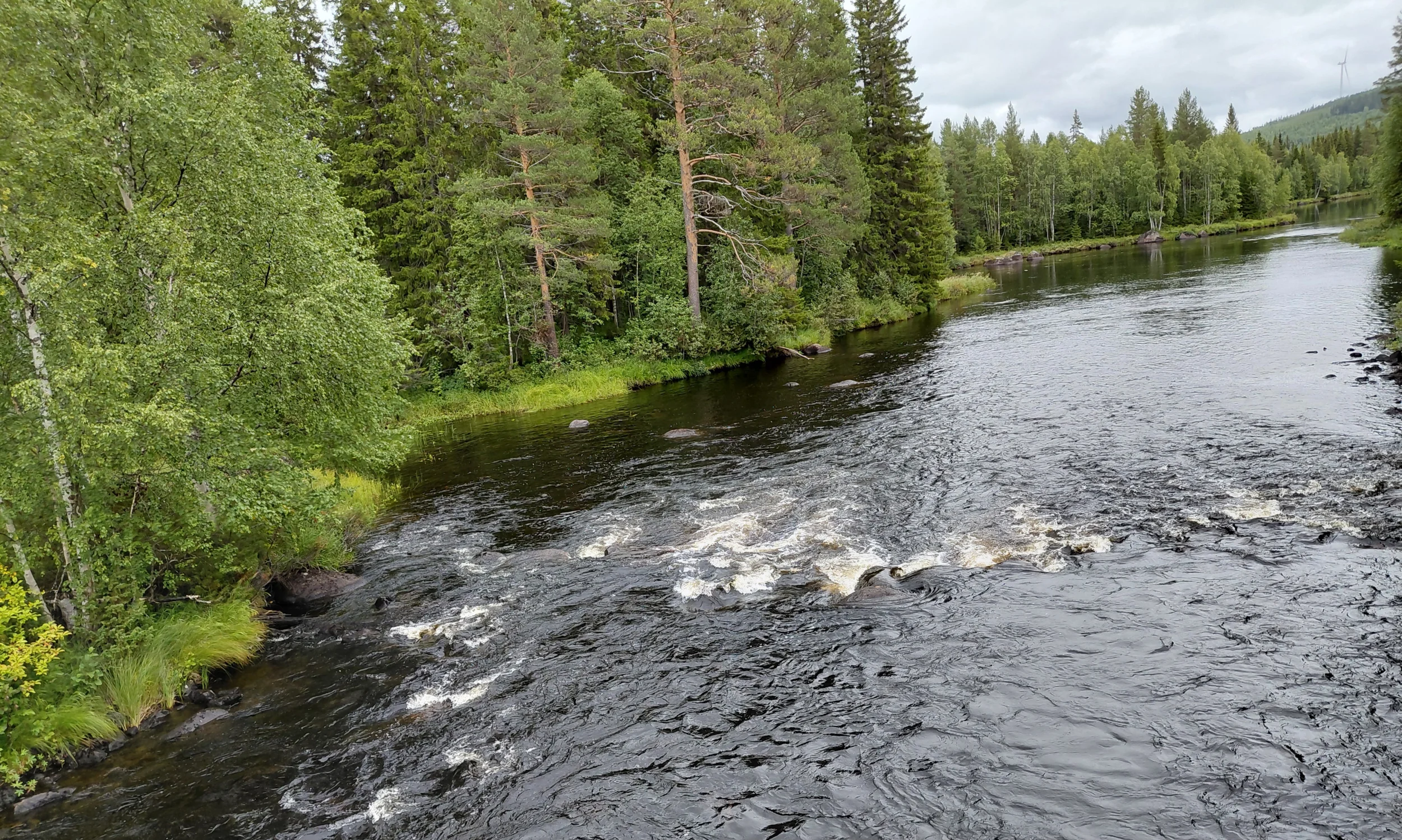 4848.webp