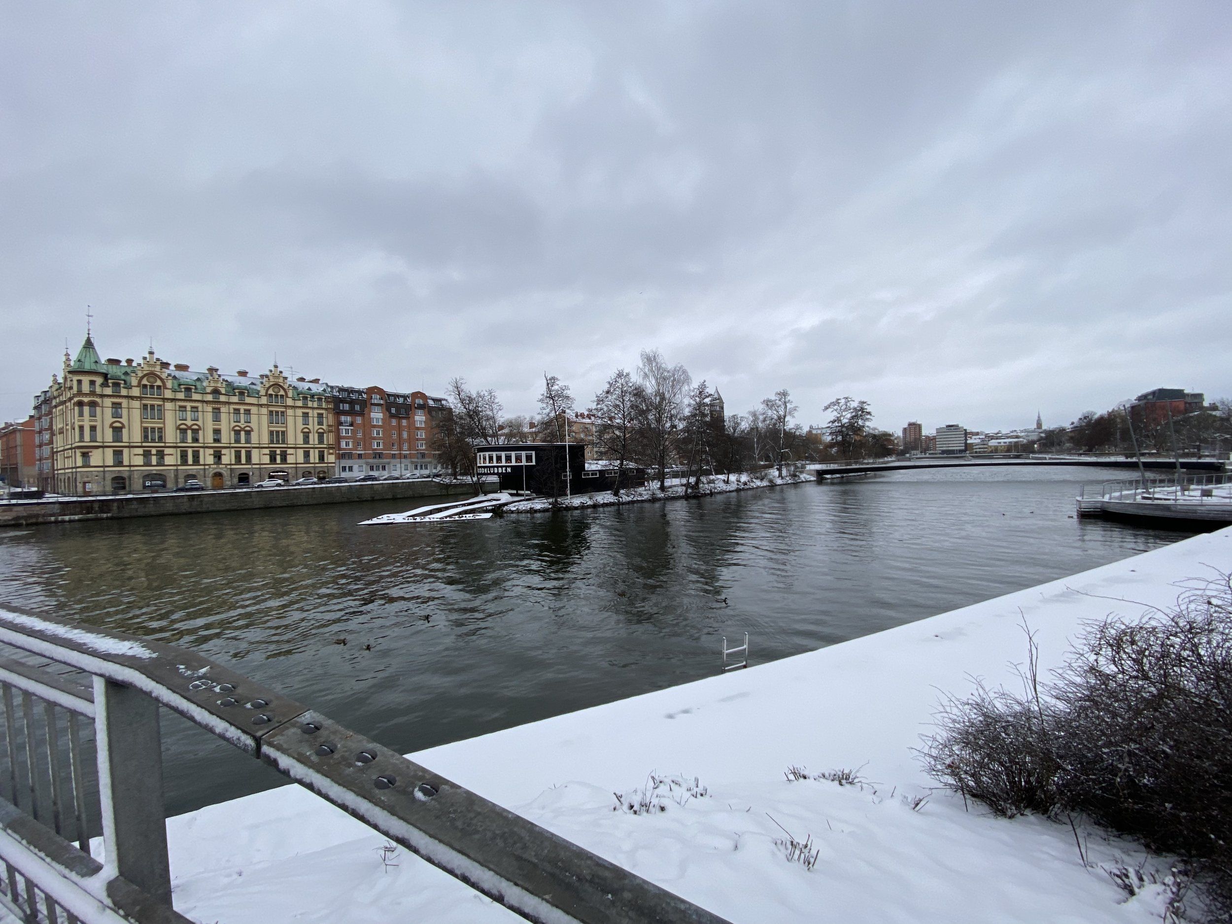 484C5A0C-5042-4ADB-9ABD-4C328717254E.jpeg