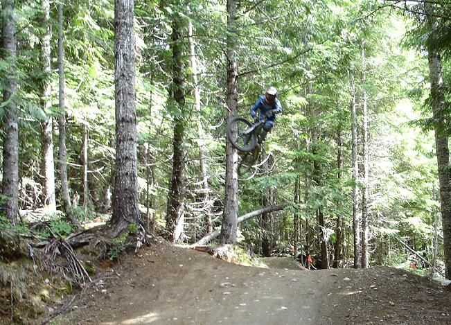 49MickeBIG.JPG ht=469