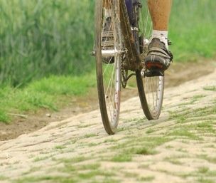 497_PR2534.jpg ht=257