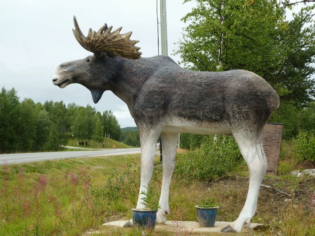 4aIMG_05871024x768.jpg