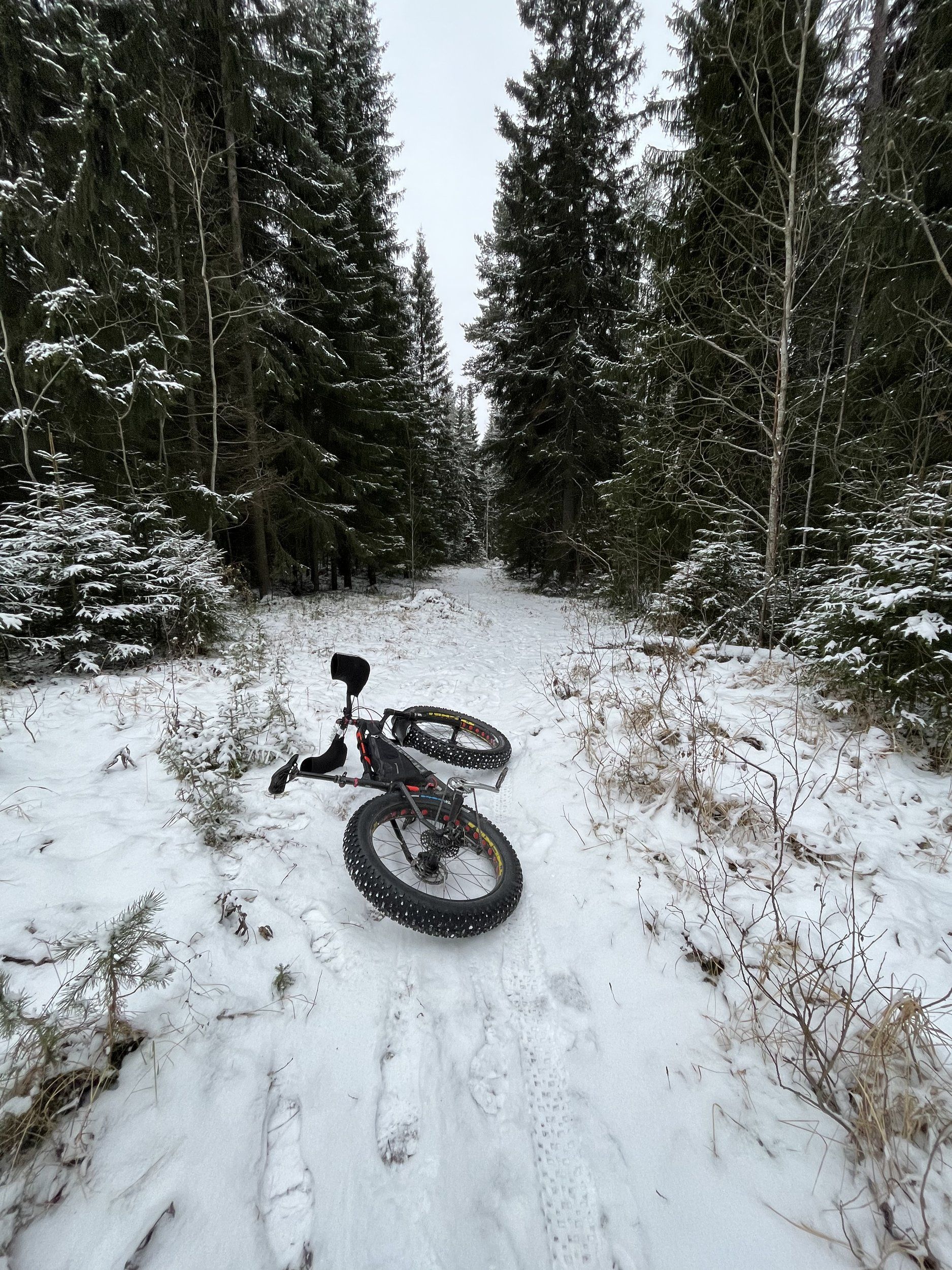 4C4F1764-BA05-489C-9D09-BFEDDA82A6D1.jpeg