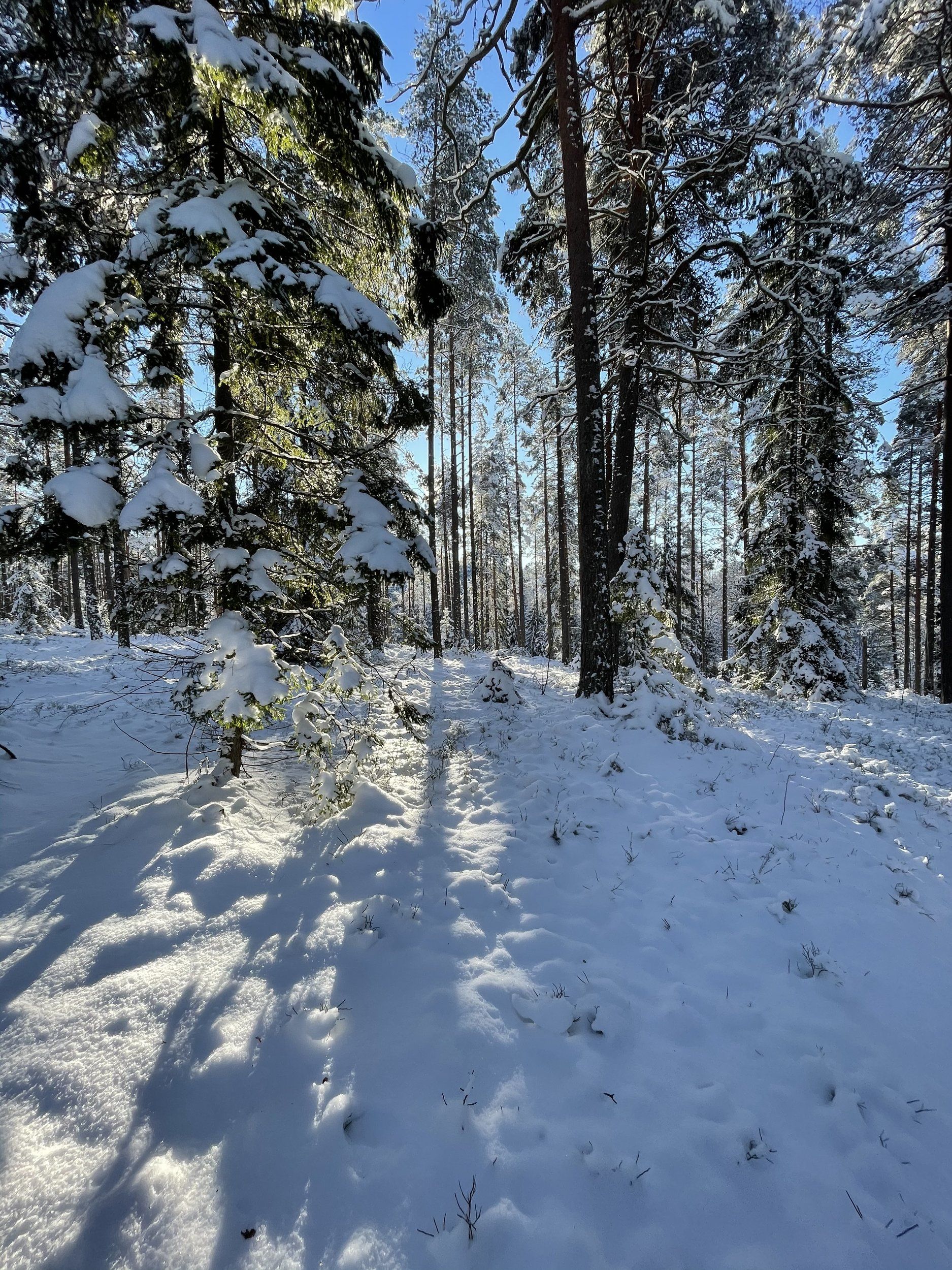 4D007648-9F2A-4B74-8E0F-3D1F46F27C43.jpeg