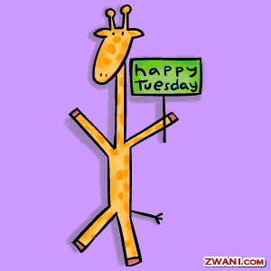 4tuesday2.gif ht=300